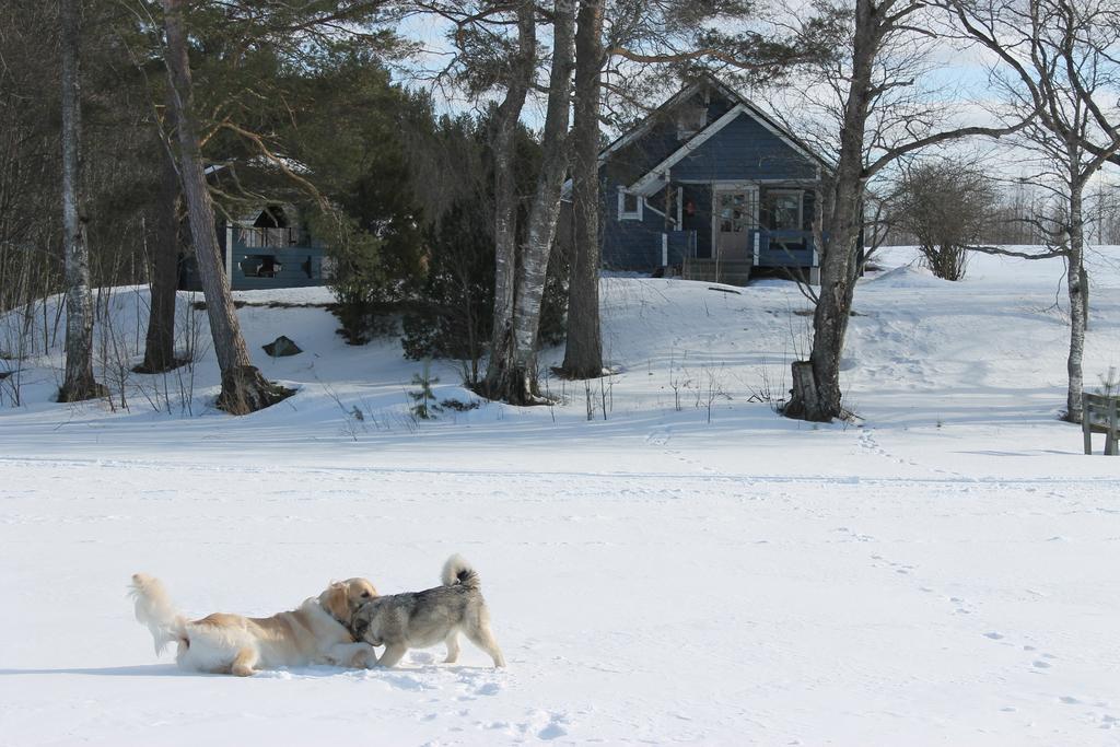 Antintuvan Lomamokit Kauhava Habitación foto